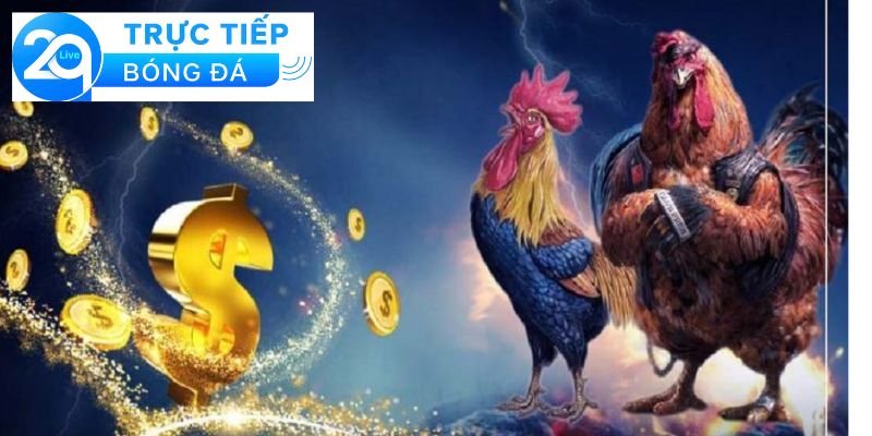 Cá cược đá gà - Cá cược đá gà trực tuyến dễ thắng 3 Các hình thức cá cược đá gà trực tuyến