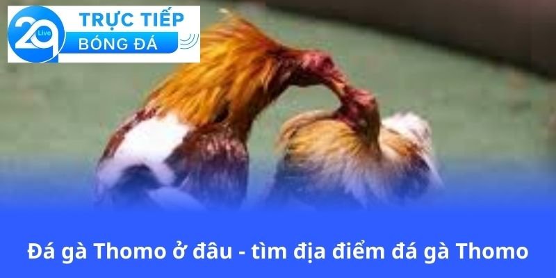 da-ga-thomo-o-dau-tim-dia-diem-da-ga-thomo