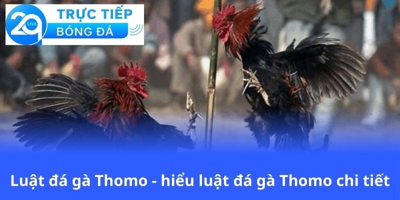 luat-da-ga-thomo-hieu-luat-da-ga-thomo-chi-tiet