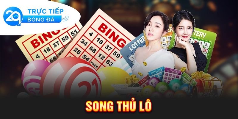 Song thủ lô là gì - Giải thích song thủ lô trong cá cược 2 Khái niệm song thủ lô