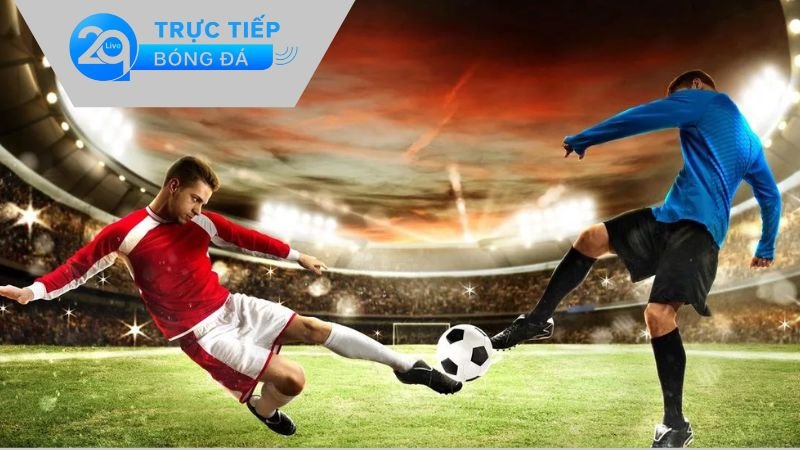 Thể Thao 2qlive - Nơi Đam Mê Thỏa Sức Không Lo Giới Hạn 2 Tính năng nổi bật của Thể Thao 2qlive ở trong lĩnh vực cá cược